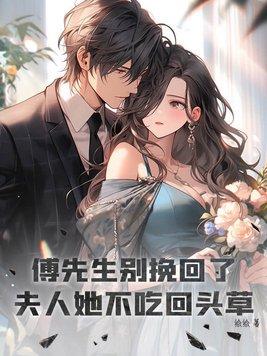 傅先生别闹免费阅读